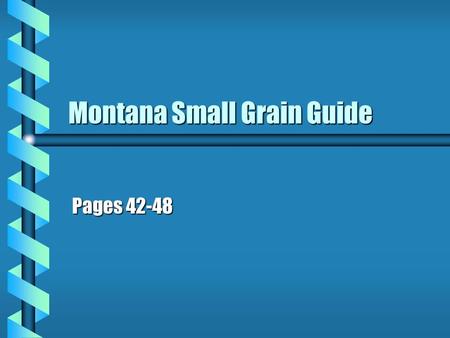 Montana Small Grain Guide Pages 42-48. Crop Rotation: Sidney Research Center Results b Highest annual yields were obtained with continuous cropping b.