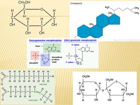 CHANGING MATTER Living things use different chemical reactions to get the energy needed for life processes.