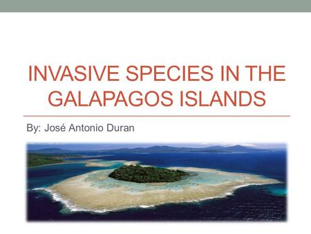 INVASIVE SPECIES IN THE GALAPAGOS ISLANDS By: José Antonio Duran.