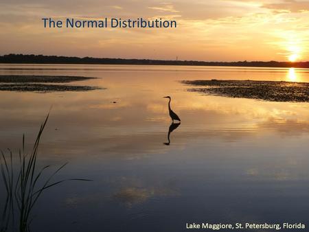 The Normal Distribution Lake Maggiore, St. Petersburg, Florida.