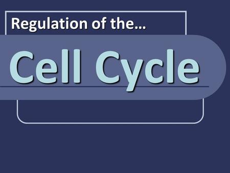 Cell Cycle Regulation of the…. Mitosis Review You just cleaned the shower, but there is one Serratia marcescens cell left on the shower head. If binary.