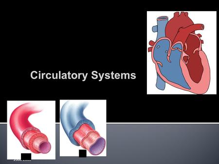 2008-2009 Circulatory Systems  Animal cells exchange material across their cell membrane  fuels for energy  nutrients  oxygen  waste (urea, CO.