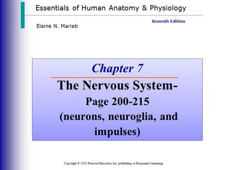 Essentials of Human Anatomy & Physiology Copyright © 2003 Pearson Education, Inc. publishing as Benjamin Cummings Seventh Edition Elaine N. Marieb Chapter.