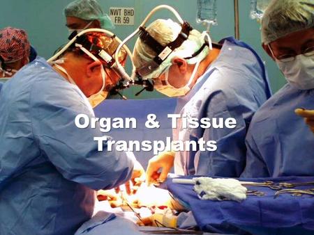 Organ & Tissue Transplants