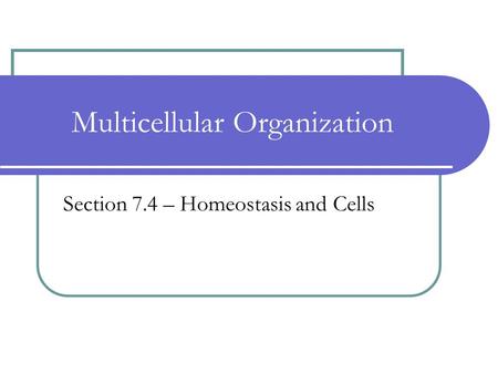 Multicellular Organization