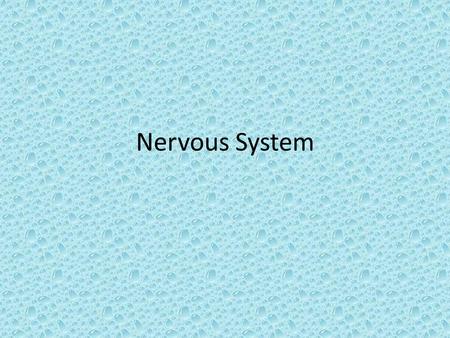 Nervous System. 1. The neuroglial cells making the blood brain barrier are the 1.Microglia 2.Myelin 3.Astocytes 4.Oligodendrocytes.