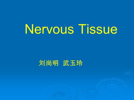 Nervous Tissue 刘尚明 武玉玲. Multipolar neuron: Cross section of spinal cord of dog. This specimen is elliptic in shape. In the center of it there is a H shaped.