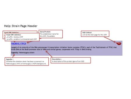 Help: Strain Page Header Yeast ORF deletion: _d suffix : dubious ORF _p suffix : putative (uncharacterized) ORF Gene/Protein: The established name for.