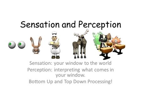 Sensation and Perception Sensation: your window to the world Perception: interpreting what comes in your window. Bottom Up and Top Down Processing!