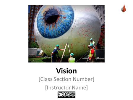 Vision [Class Section Number] [Instructor Name]. Overview What is Vision? Contrast is Key Sensitivity to Light Reconstruction Color Integration.