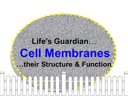 Life’s Guardian… Cell Membranes …their Structure & Function.