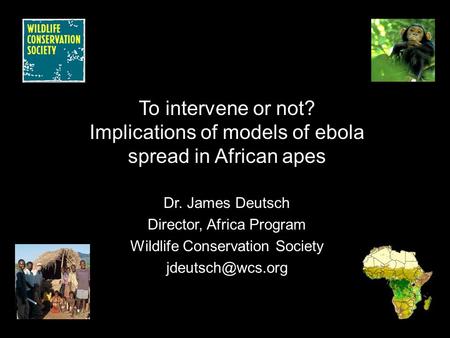 To intervene or not? Implications of models of ebola spread in African apes Dr. James Deutsch Director, Africa Program Wildlife Conservation Society