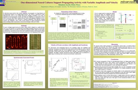 One-dimensional Neural Cultures Support Propagating Activity with Variable Amplitude and Velocity Shimshon Jacobi, Elisha Moses Department of Physics of.