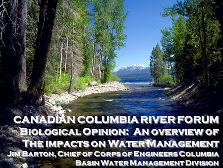 CANADIAN COLUMBIA RIVER FORUM Biological Opinion: An overview of The impacts on Water Management Jim Barton, Chief of Corps of Engineers Columbia Basin.