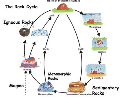 Sedimentary Rocks Metamorphic Rocks Igneous Rocks Magma The Rock Cycle.