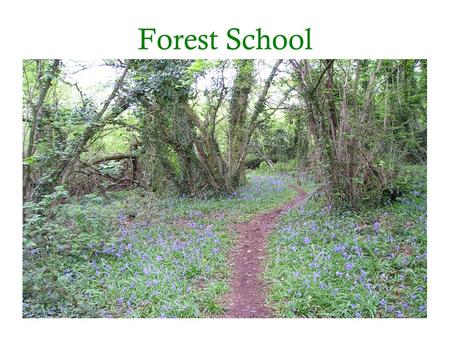 Forest School. What is Forest School? Woodland setting Programme of sessions Trained Leader.