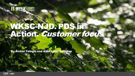 1 WKSC-NJD. PDS in Action. Customer focus By Andrei Telegin and Aliaksandr Dranitsa AUGUST 4, 2015.