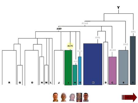 M170 M89 M60 M91 M130 M96 M201 M168 M52 NEXT yDNA Haplogroup I.