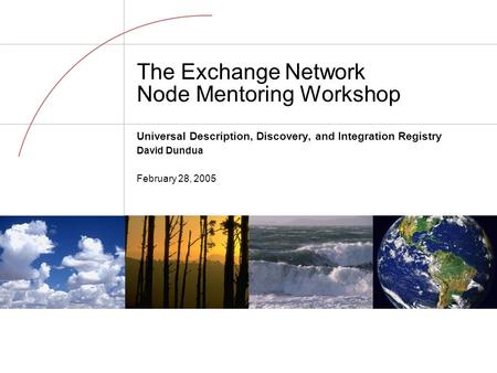 The Exchange Network Node Mentoring Workshop Universal Description, Discovery, and Integration Registry David Dundua February 28, 2005.