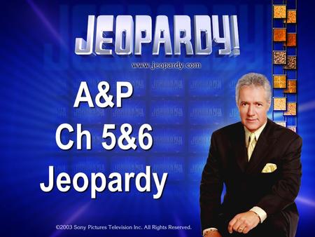 A&P Ch 5&6 Jeopardy The Rules: Give each answer in the form of a questionGive each answer in the form of a question Click the answer button in the lower.