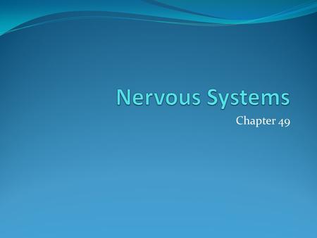 Chapter 49. Glia Ependymal cells line ventricles and circulate CSF Microglia protect against microorganisms Oligodendrocytes myelinate CNS Astrocytes.