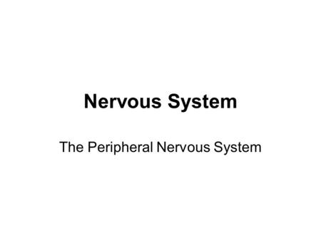 The Peripheral Nervous System