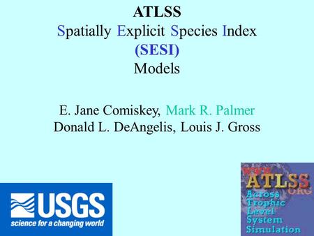 ATLSS Spatially Explicit Species Index (SESI) Models E. Jane Comiskey, Mark R. Palmer Donald L. DeAngelis, Louis J. Gross.