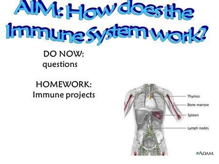 AIM: How does the Immune System work?