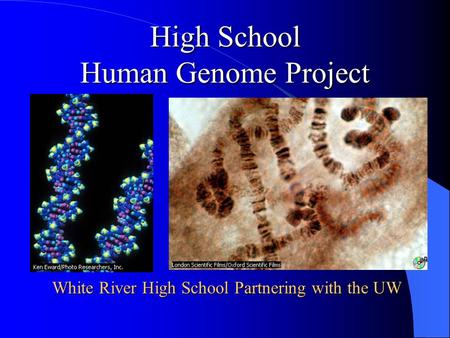 High School Human Genome Project White River High School Partnering with the UW.