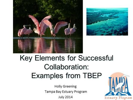 Key Elements for Successful Collaboration: Examples from TBEP Holly Greening Tampa Bay Estuary Program July 2014.