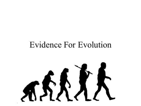 Evidence For Evolution. Comparative Anatomy Comparative Anatomy is used to determine the relationship between organisms with similar structures. There.