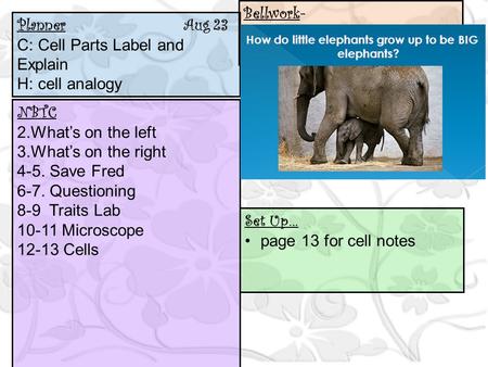 Planner Aug 23 C: Cell Parts Label and Explain H: cell analogy NBTC 2.What’s on the left 3.What’s on the right 4-5. Save Fred 6-7. Questioning 8-9 Traits.