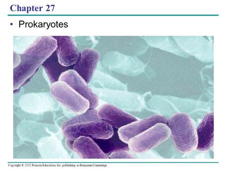 Copyright © 2005 Pearson Education, Inc. publishing as Benjamin Cummings Chapter 27 Prokaryotes.