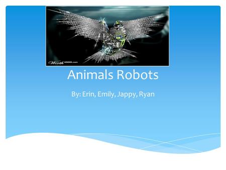 Animals Robots By : Erin, Emily, Jappy, Ryan. What Kind Animals Do The Scientist Study? Two animals that scientist study is a robotic grizzly bears, and.