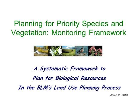 March 11, 2010 Planning for Priority Species and Vegetation: Monitoring Framework A Systematic Framework to Plan for Biological Resources In the BLM’s.