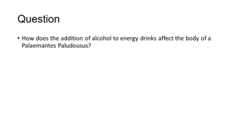 Question How does the addition of alcohol to energy drinks affect the body of a Palaemantes Paludousus?