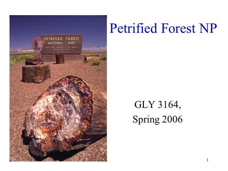 1 Petrified Forest NP GLY 3164, Spring 2006. 2 Park Map Park is basically two units Painted Desert is to the North Petrified Forest is in the south.