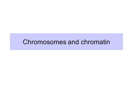 Chromosomes and chromatin