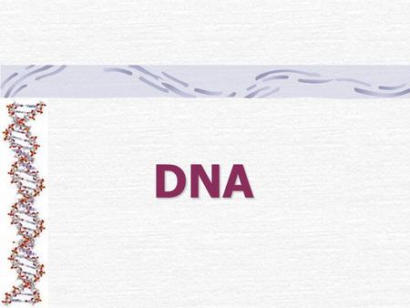 DNA.