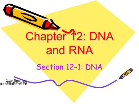 Chapter 12: DNA and RNA Section 12-1: DNA. Interest Grabber Section 12-1 1. On a sheet of paper, write the word cats. List the letters or units that make.