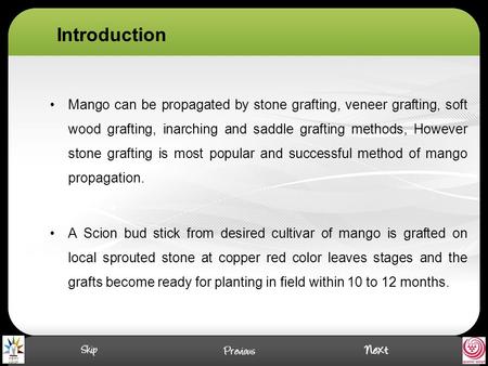 Introduction Mango can be propagated by stone grafting, veneer grafting, soft wood grafting, inarching and saddle grafting methods, However stone grafting.