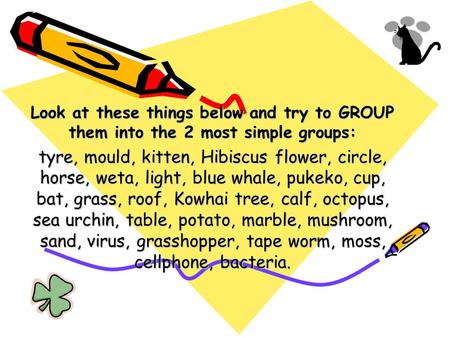 Look at these things below and try to GROUP them into the 2 most simple groups: tyre, mould, kitten, Hibiscus flower, circle, horse, weta, light, blue.