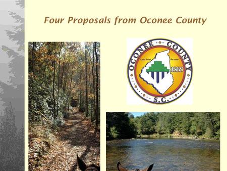 1 Four Proposals from Oconee County. 2 We are all unique and have different experiences and perspectives. **** Opportunities And Challenges.