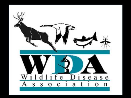 What is WDA? WDA is all wildlife diseases, all conservation, all one health, all the time Wildlife and Environmental Health Human Health Domestic Animal.