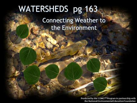 WATERSHEDS pg 163 Produced by the COMET ® Program in partnership with the National Environmental Education Foundation Connecting Weather to the Environment.