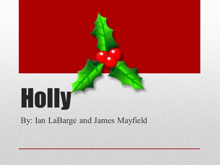 Holly By: Ian LaBarge and James Mayfield. We see holly everywhere this time of year, But did you know it has a much deeper meaning?