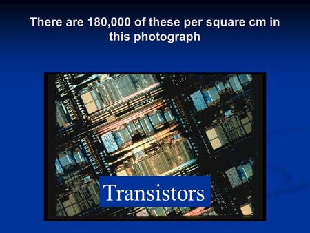 There are 180,000 of these per square cm in this photograph Transistors.