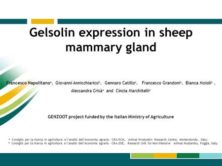 Gelsolin expression in sheep mammary gland Francesco Napolitano a, Giovanni Annicchiarico b, Gennaro Catillo a, Francesco Grandoni a, Bianca Moioli a,