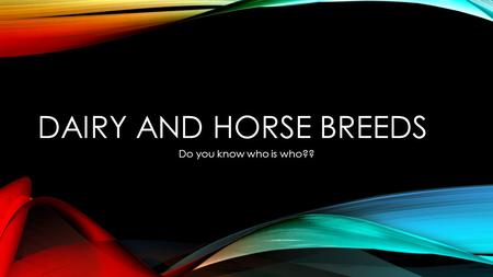 DAIRY AND HORSE BREEDS Do you know who is who??. HOLSTEIN Largest breed in America on 90% of dairies Originated in the Netherlands Known for large amount.