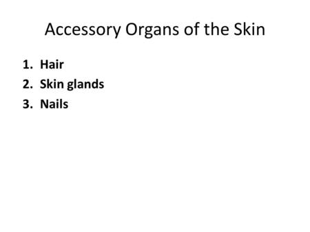 1.Hair 2.Skin glands 3.Nails Accessory Organs of the Skin.